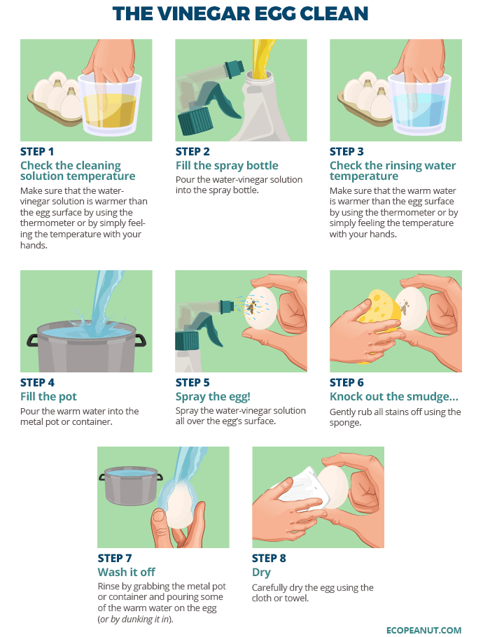 https://ecop.b-cdn.net/wp-content/uploads/2018/09/Instructions-for-washing-eggs-with-vinegar.png