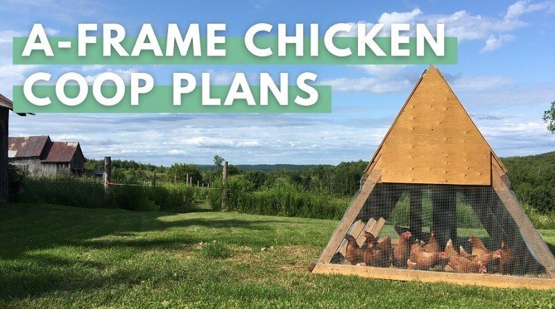 A-Frame Chicken Coop Plans