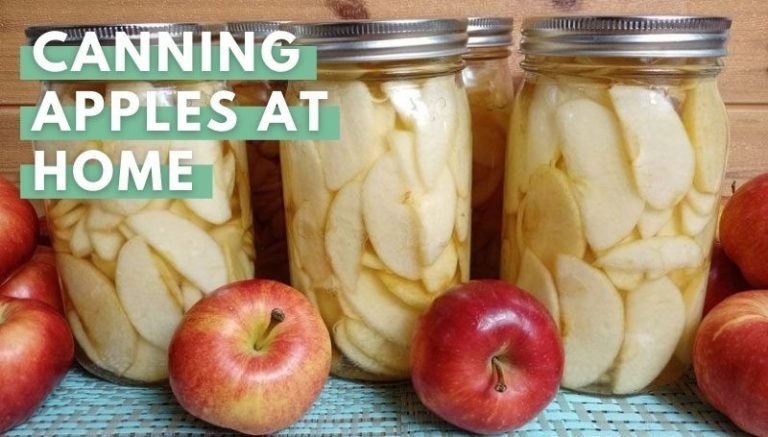 Canned Apple Recipe