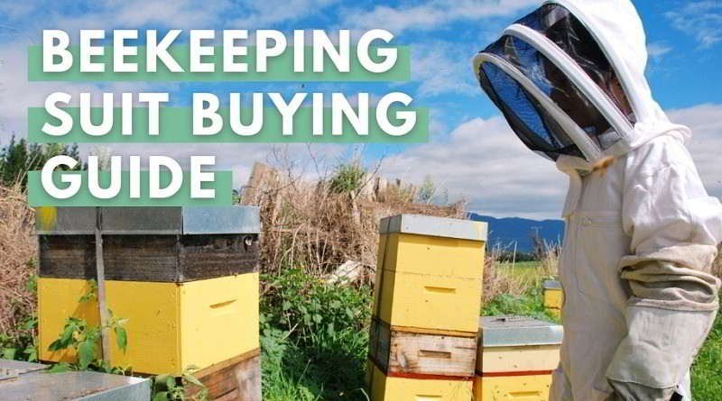 Beekeeping Suit Buying Guide: How to Choose the Best Beekeeping Suit For You