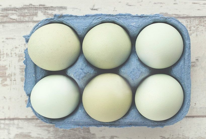 a tray of six green chicken eggs