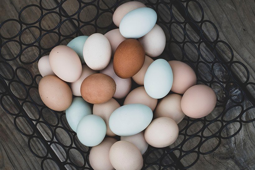a black basket full of blue, brown and pink eggs