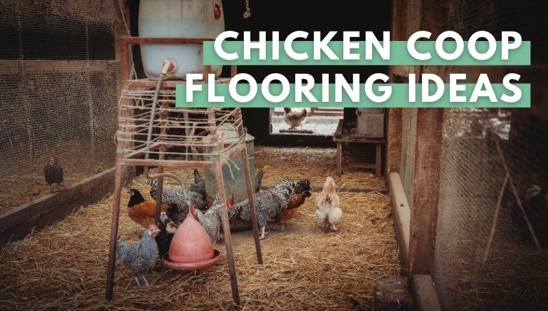 chicken coop flooring Ideas