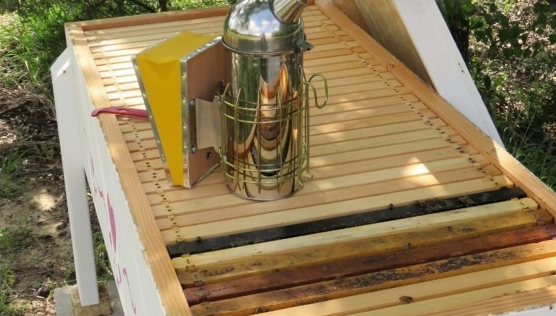 one wooden long/vertical hive with a bee extractor on top