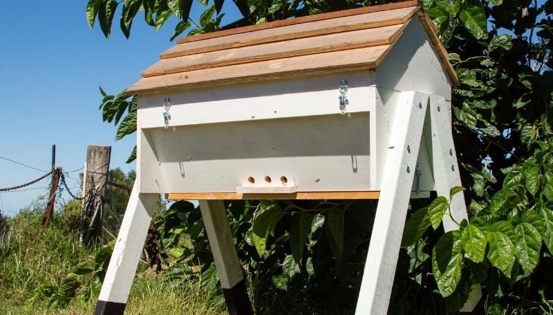 one white wooden Top Bar hive
