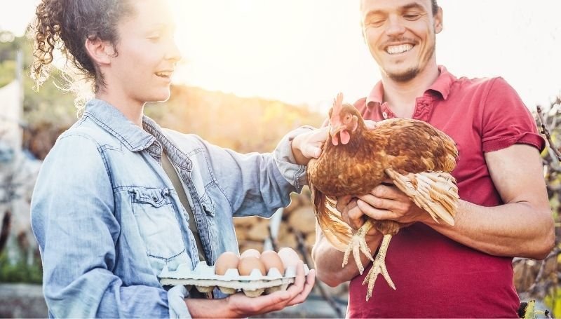 a man holding a chicken and a woman holding a tray of brown eggs while petting the chicken
