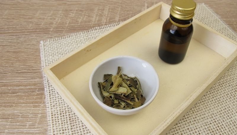 a tray with dried neem leaves and a bottle with neem oil