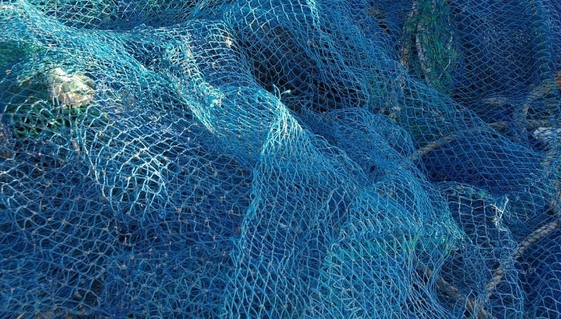 blue net with rope