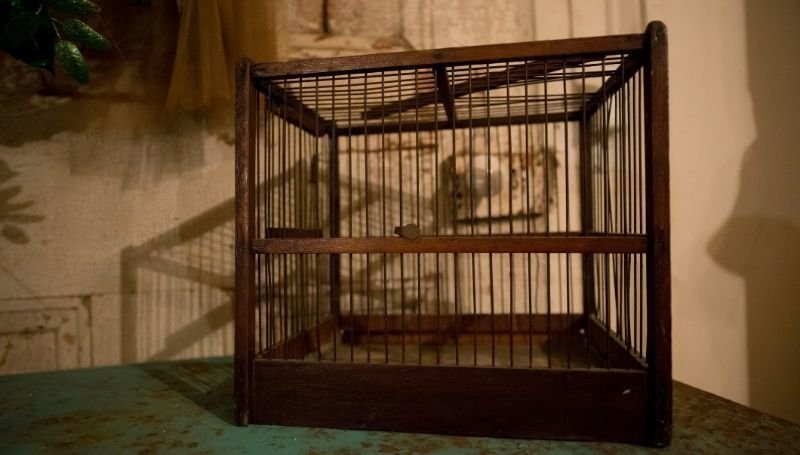 a large brown bird crate on the floor