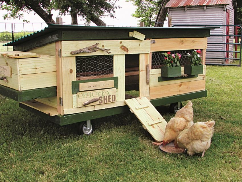 stylish chicken shed