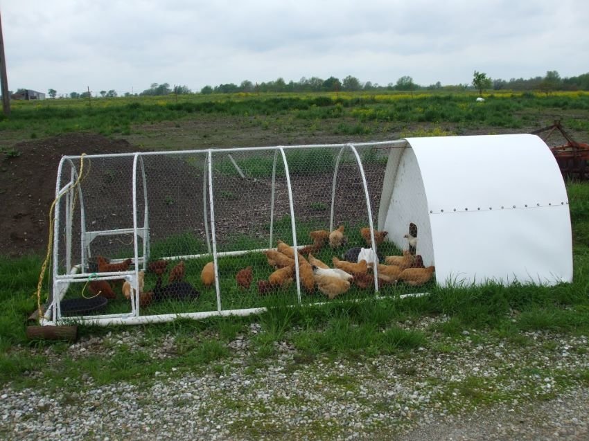 chicken tractor from pvc