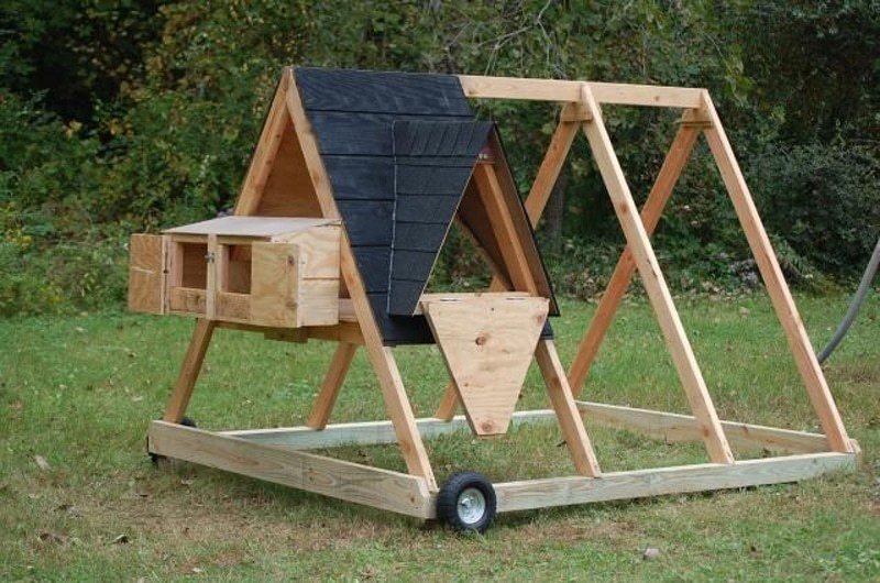 the a-frame chicken coop