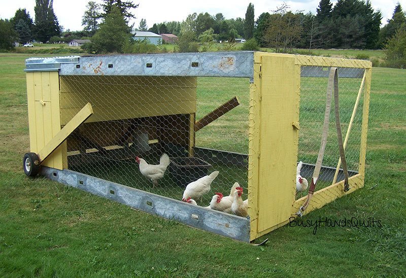 Chicken Tractor Plans With Bottom Run