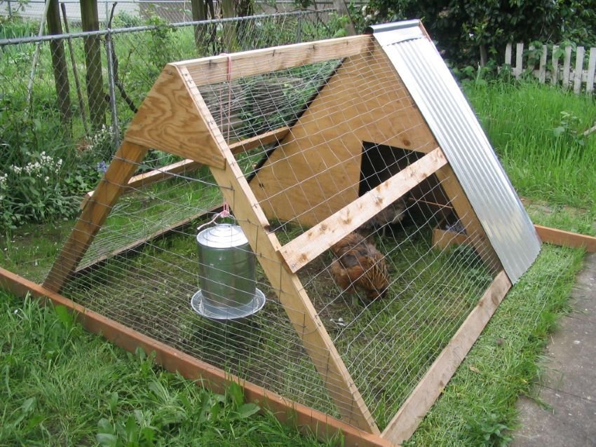 A-frame chicken tractor plan