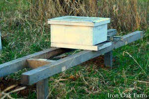 Iron Oak Farm Multiple Beehive Stand
