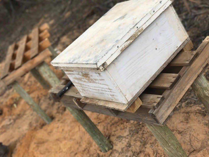 Pallet and Post Beehive Stand