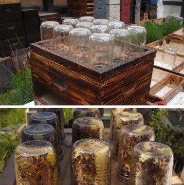 DIY Beehive In A Jar