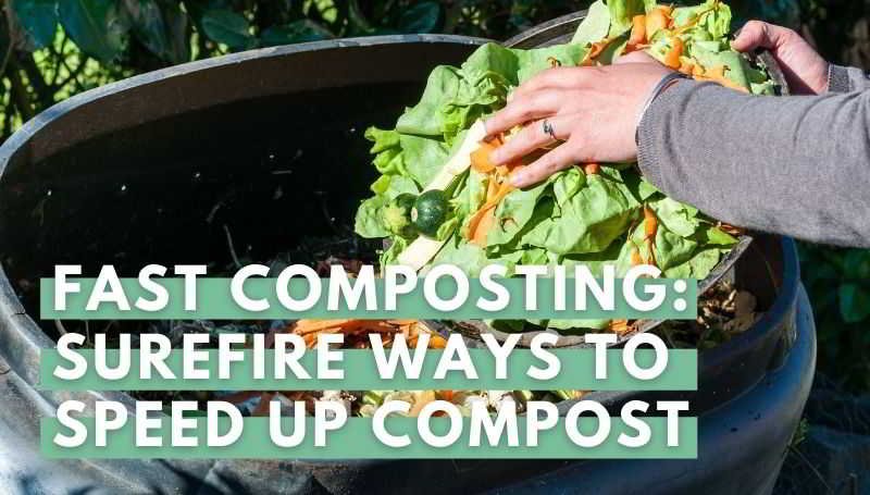 Fast Composting: Surefire Ways to Speed Up Compost