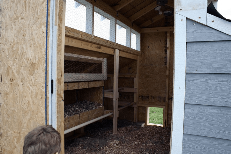 Chicken Coop Ventilation: How and Why It’s Important - Eco Peanut