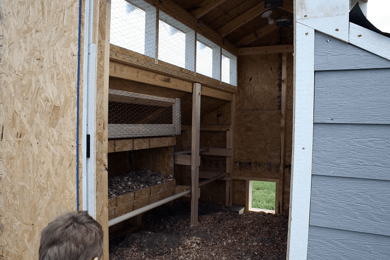 chicken coop ventilation with windows