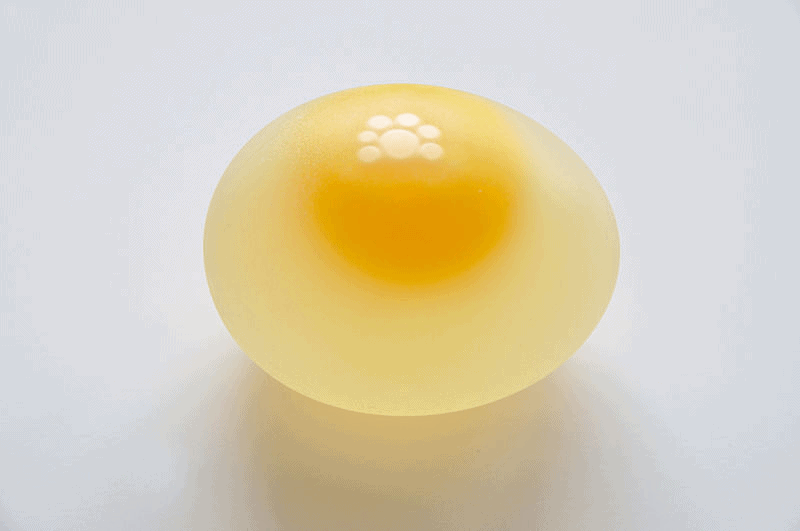 shell-less egg