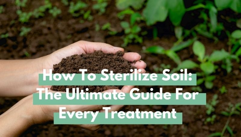 How to sterilize soil