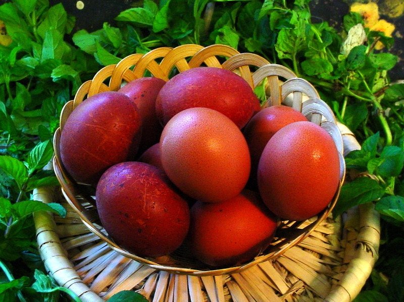 black copper maran eggs