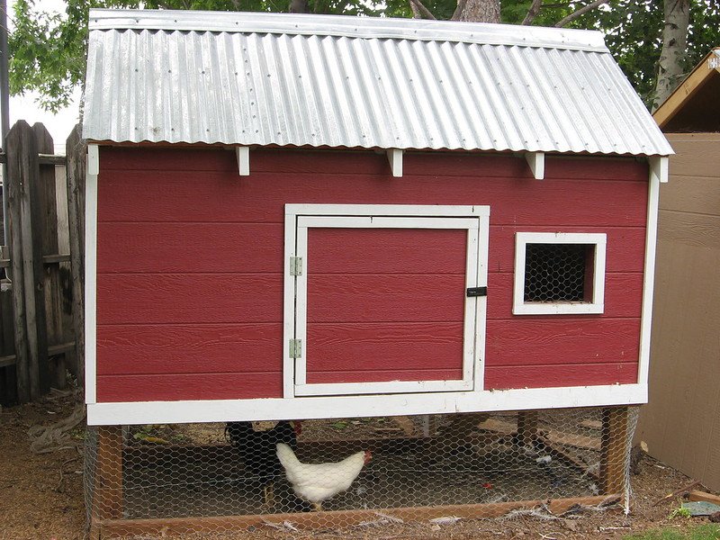 red chicken coop