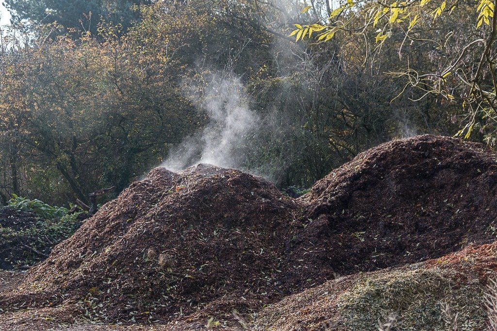 steaming compost
