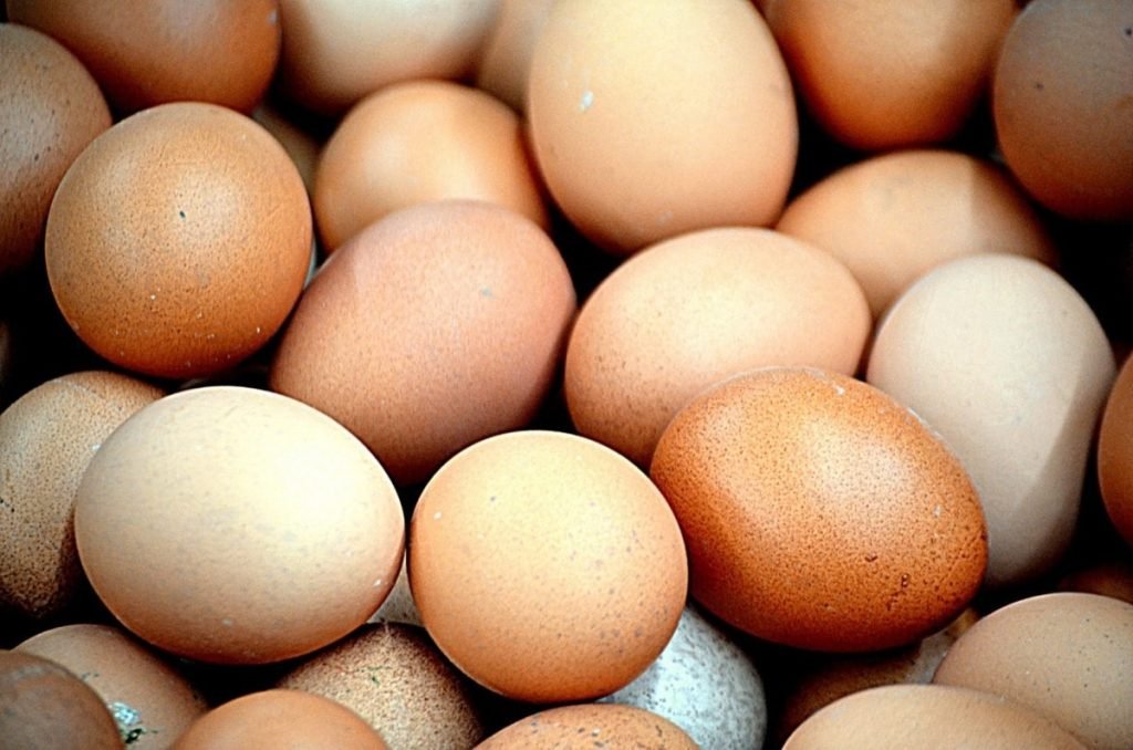 chicken brown eggs
