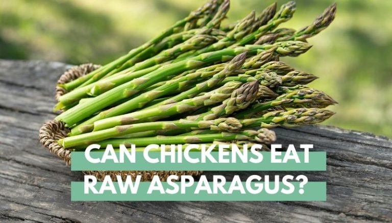 chickens raw asparagus