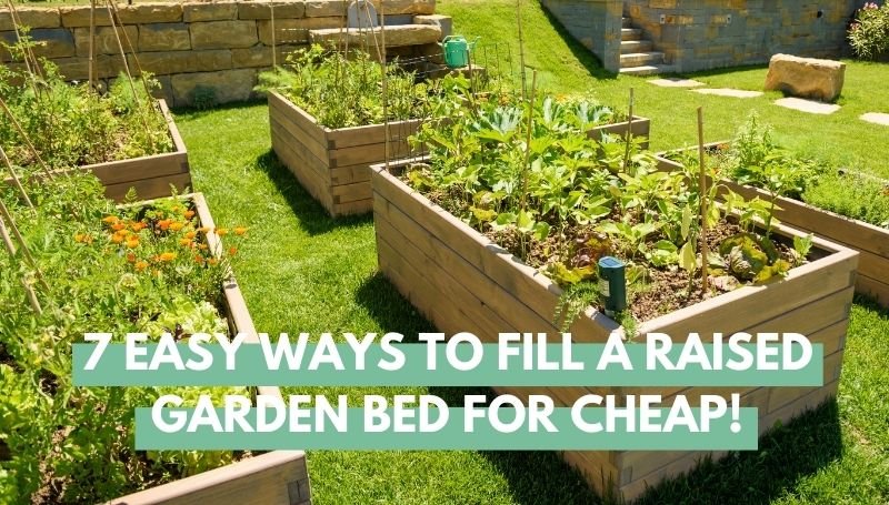 Easy ways to fill a raised garden bed