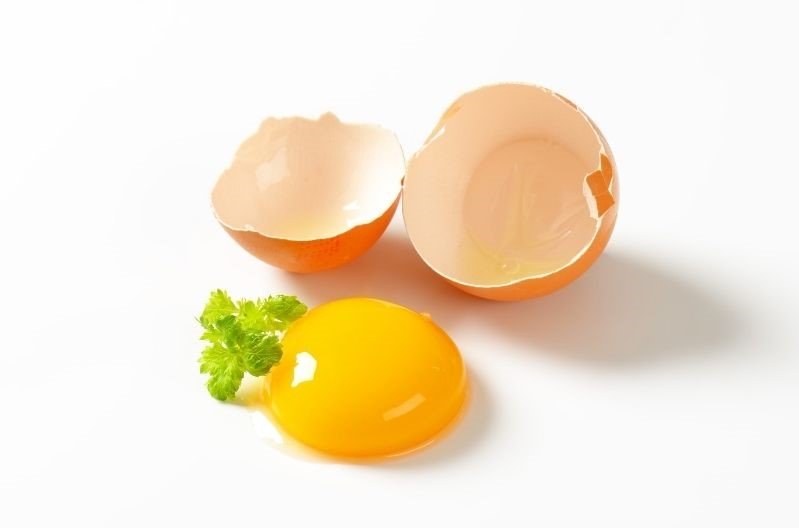 egg yolk with eggshell