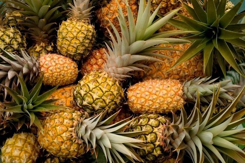 Can Chickens Eat Pineapple? Safe Food? - Eco Peanut
