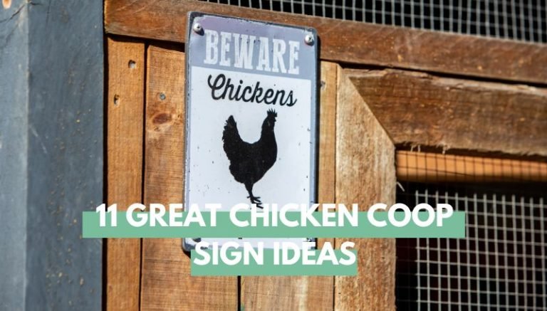 Chicken coop signs