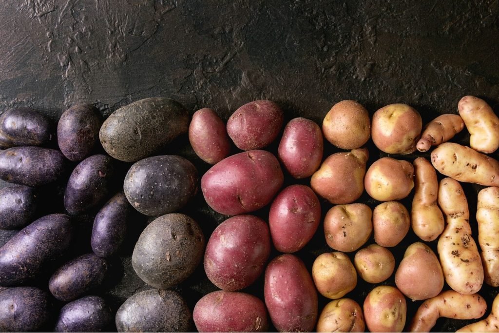 variety of raw potatoes