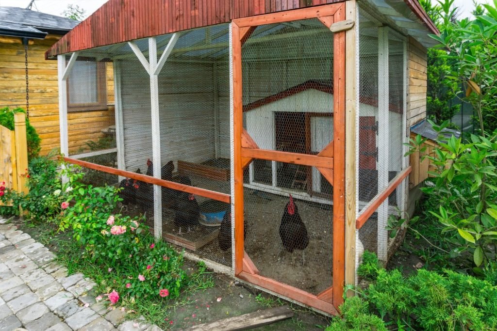 beautiful chicken coop with flowers near