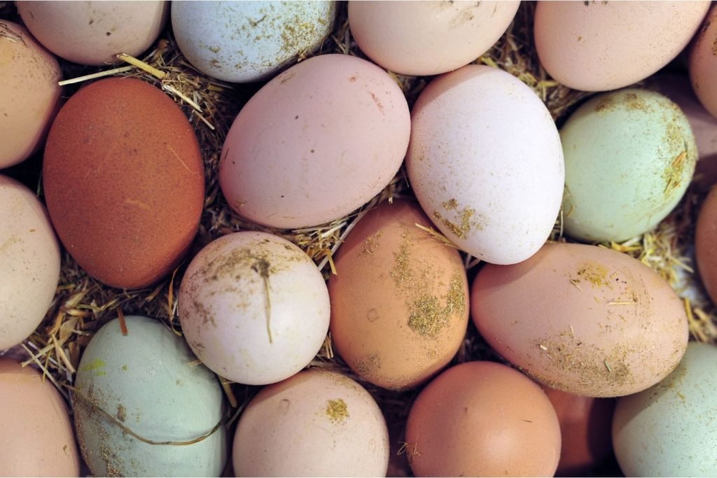 natural colored chicken eggs
