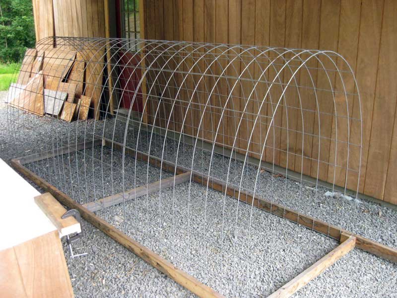 frame and the hoops of the new chicken coop